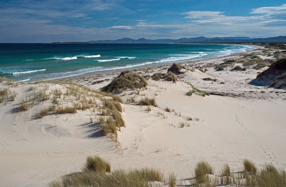 things to do in Tasmania