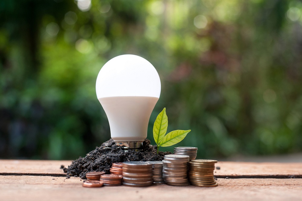 Why Australian Electricians Are Suggesting Energy Efficient Bulbs