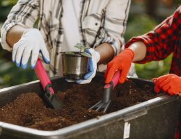 A Heartfelt Tribute to the Household Compost Pile