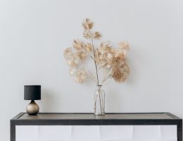 Beginner's Guide to Minimalism: Everything You Need to Know