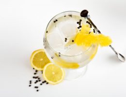 Types of Australian Gin: What's Your Gin Type?