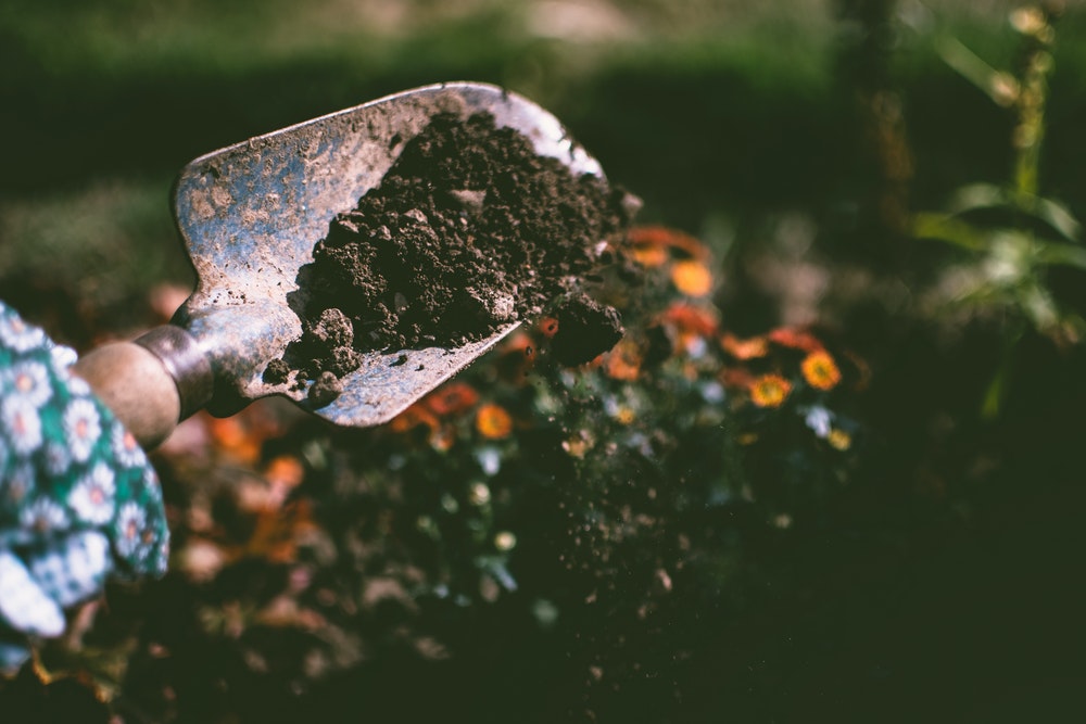 Prepare Garden Soil for Planting