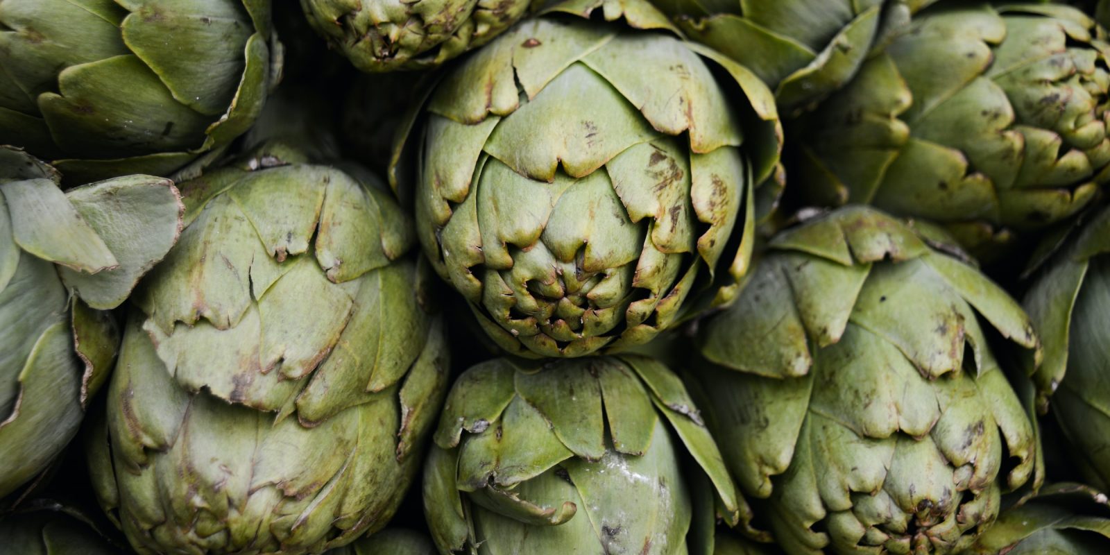 Artichoke
