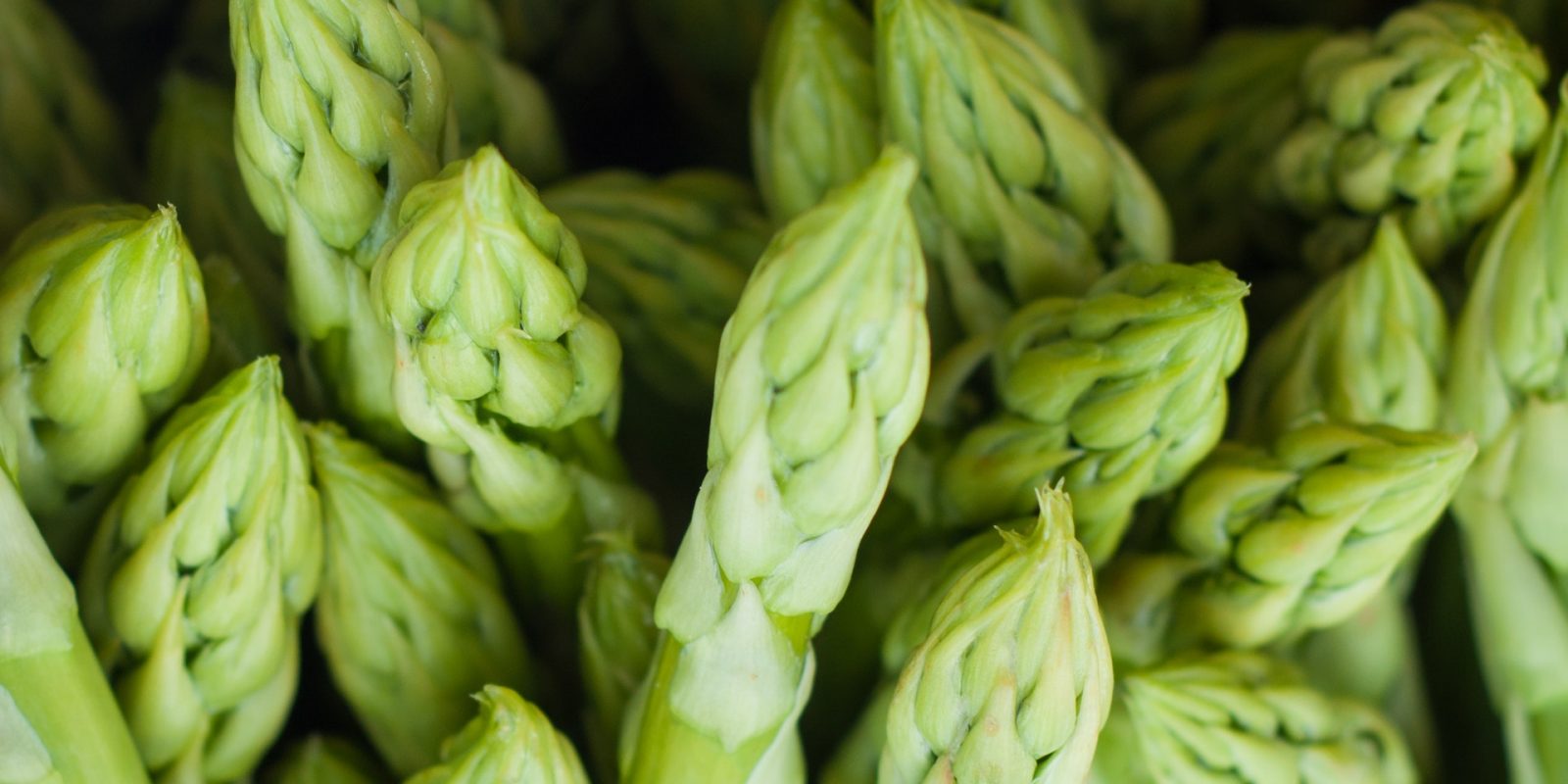 Asparagus