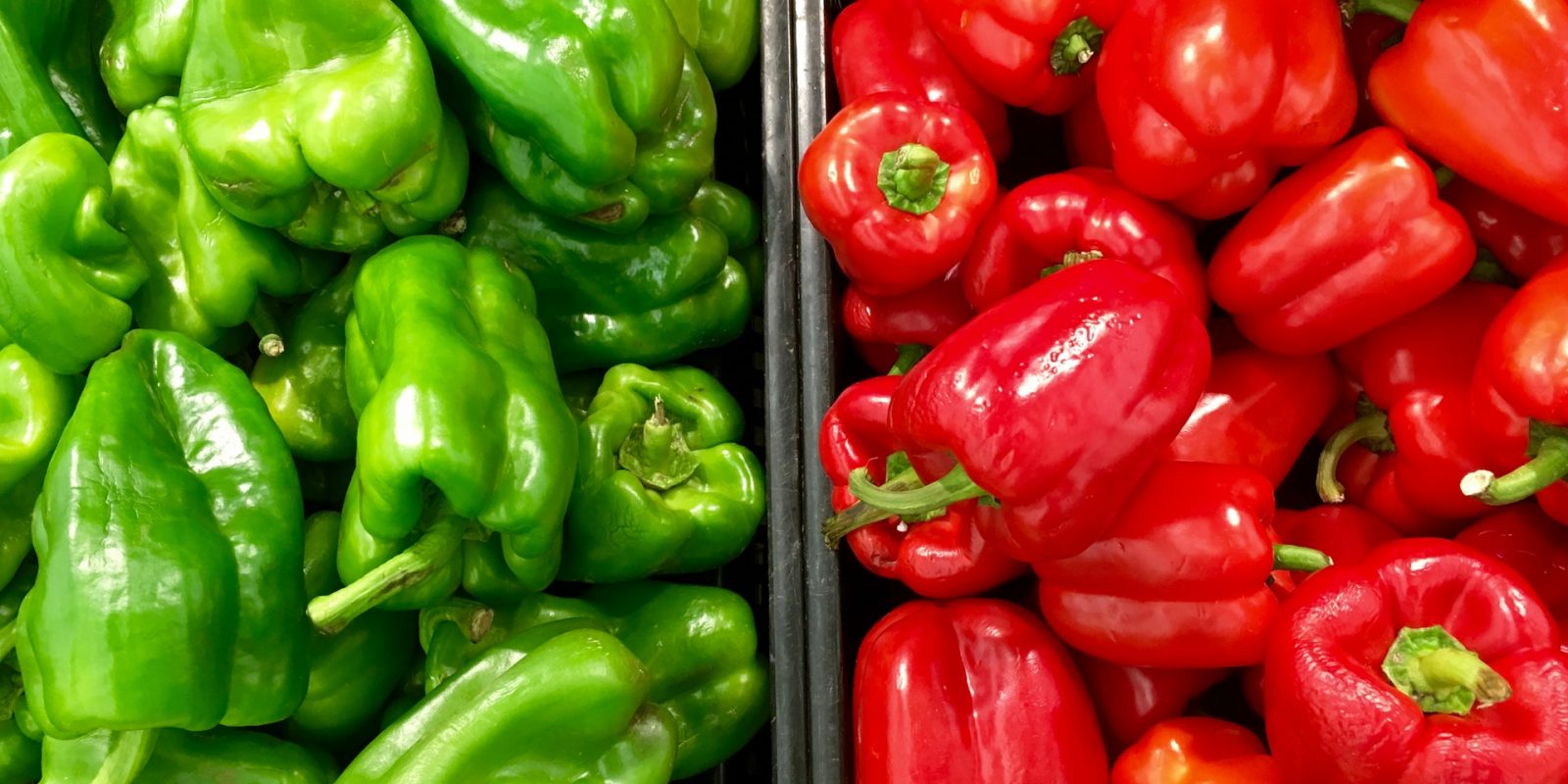 Capsicum