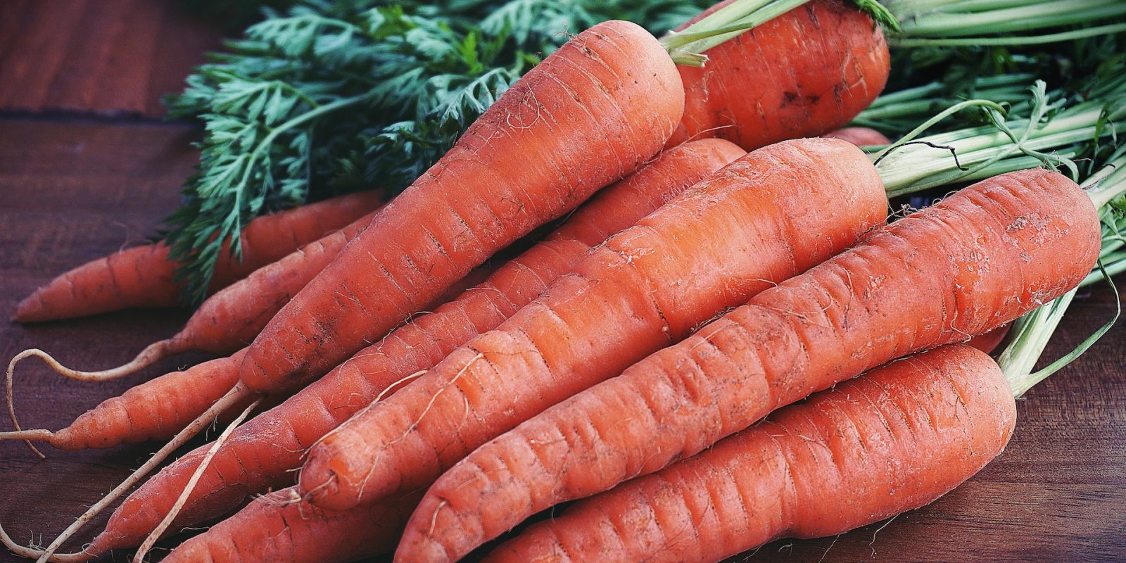Carrot