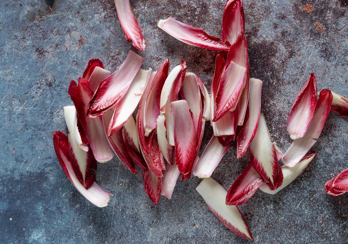 Chicory