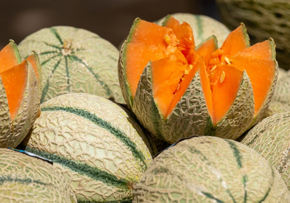 Rockmelon