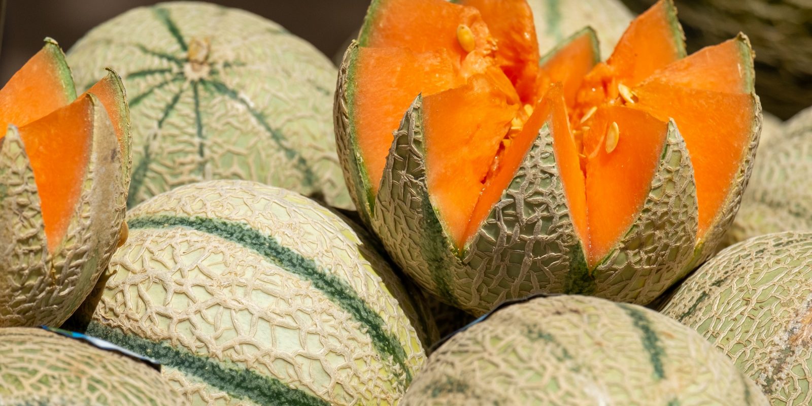 Rockmelon