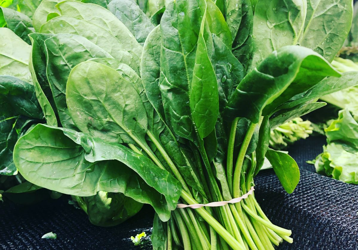 Spinach