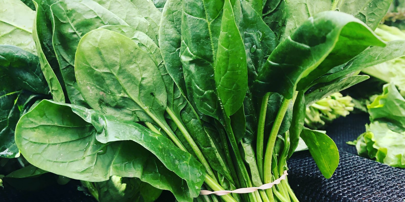 Spinach