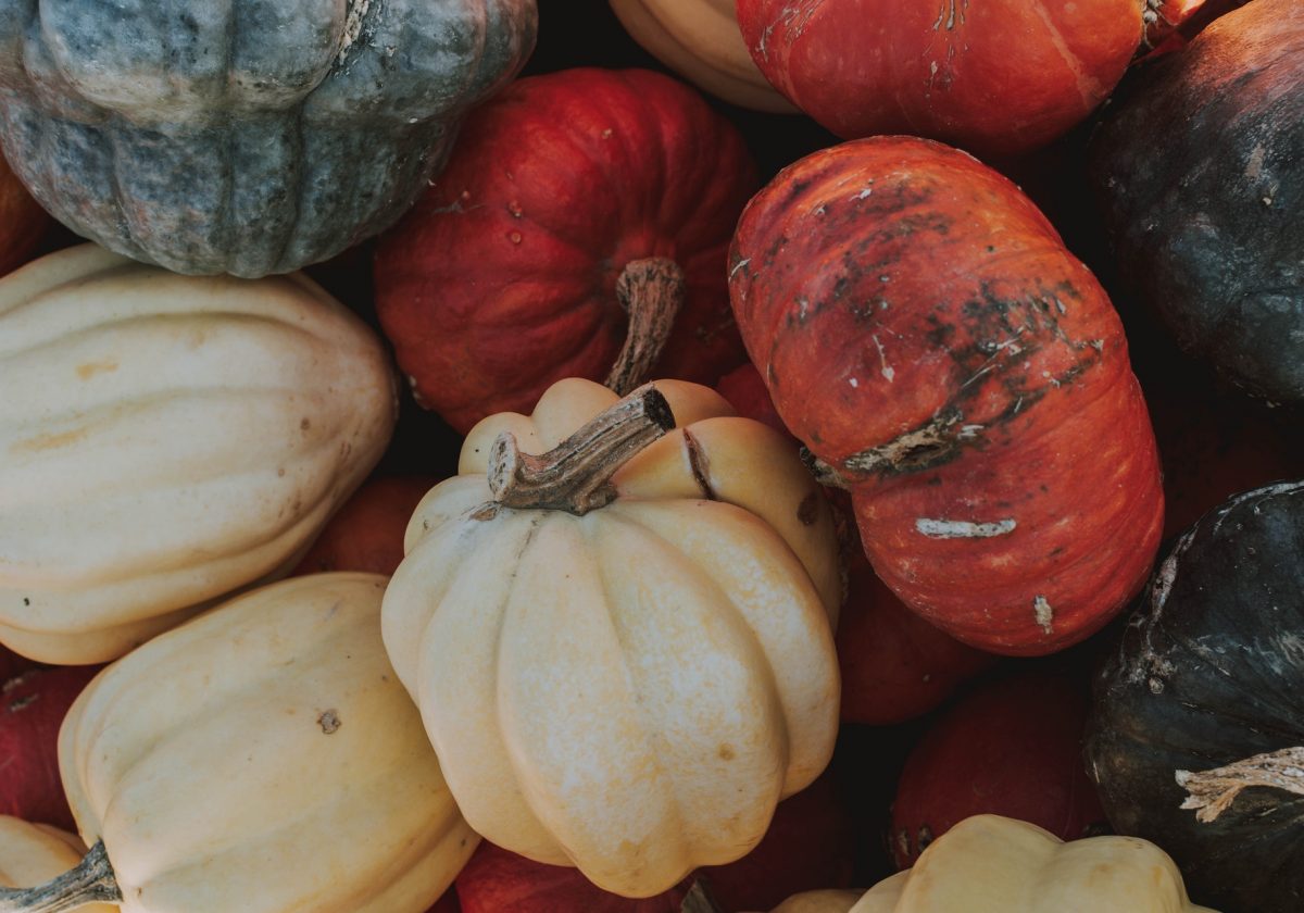Squash