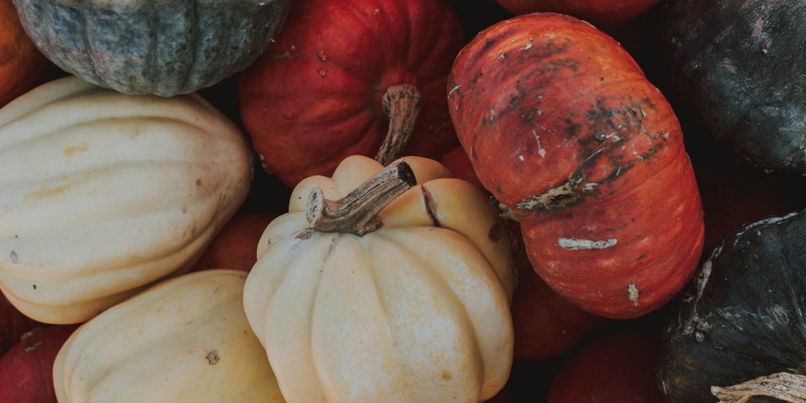 Squash