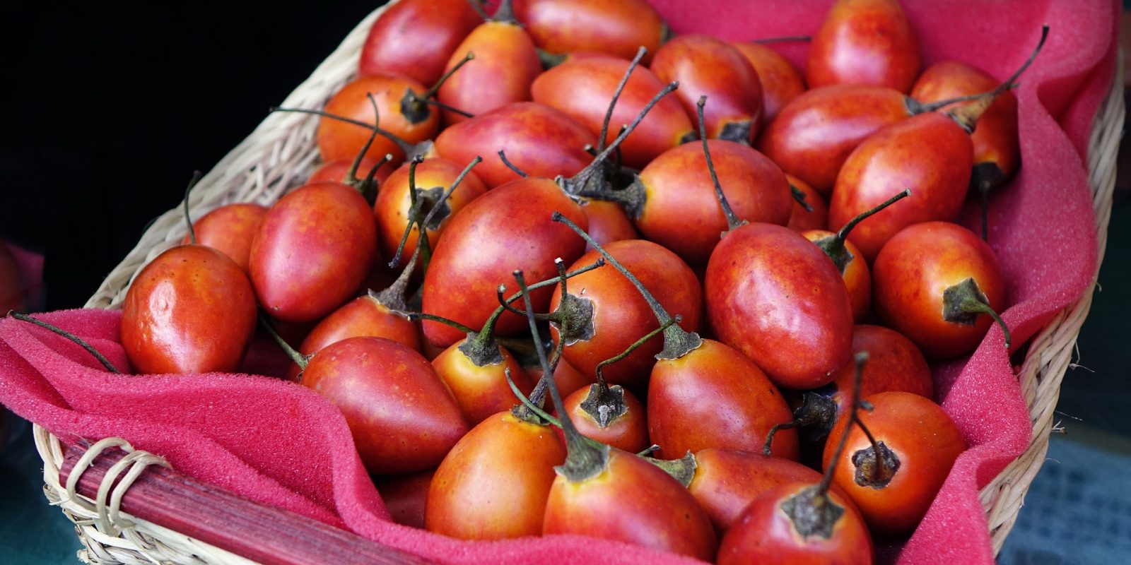 Tamarillo