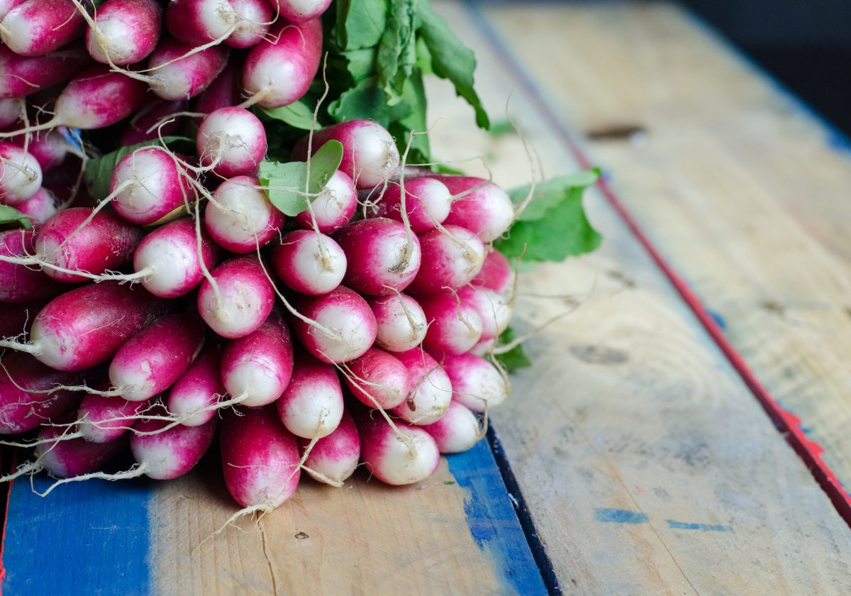 Turnip