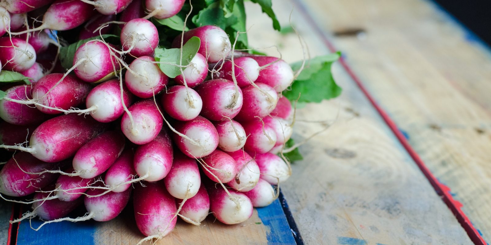 Turnip