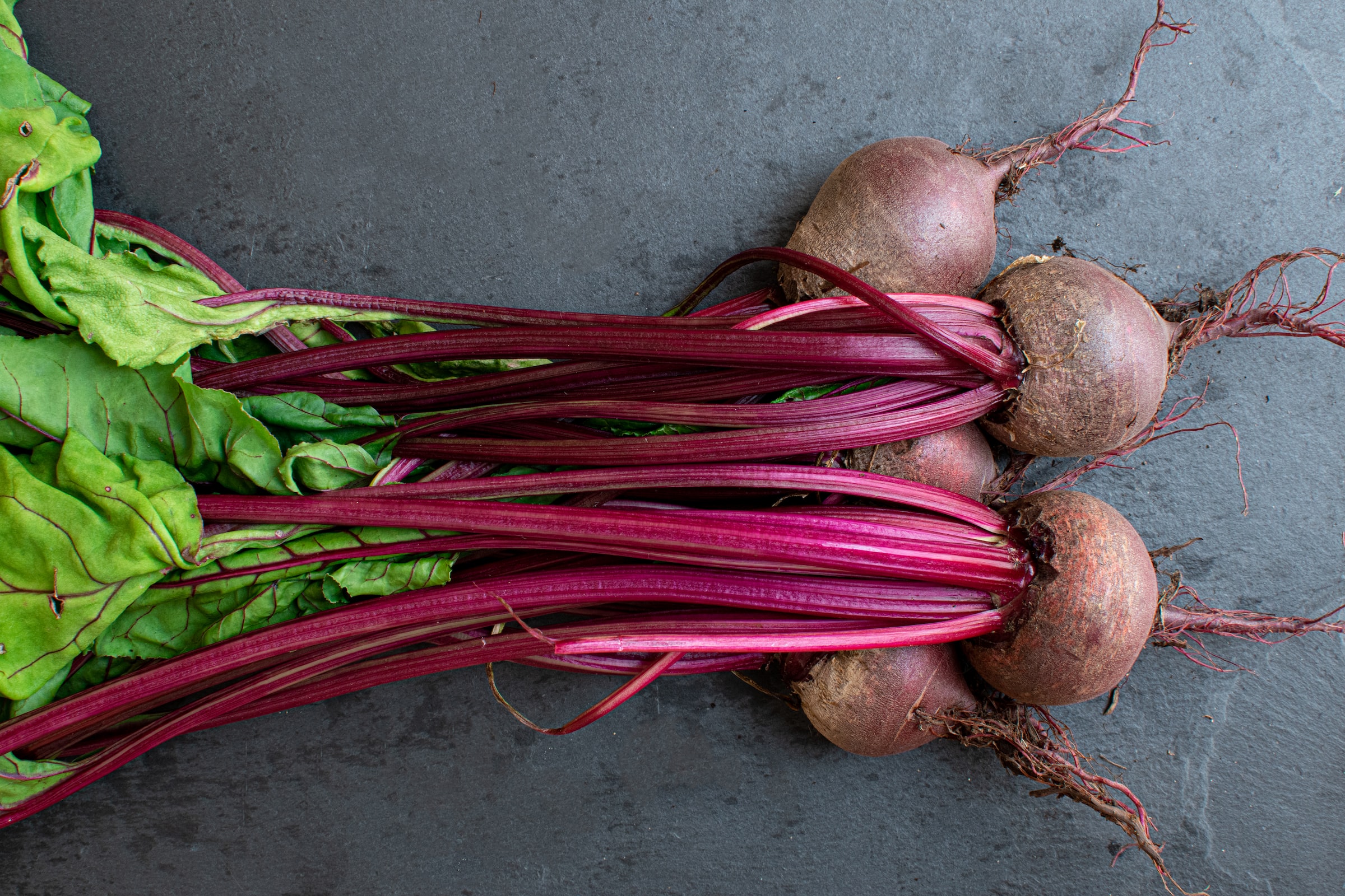 How to Grow Beetroot at Home EPHAS