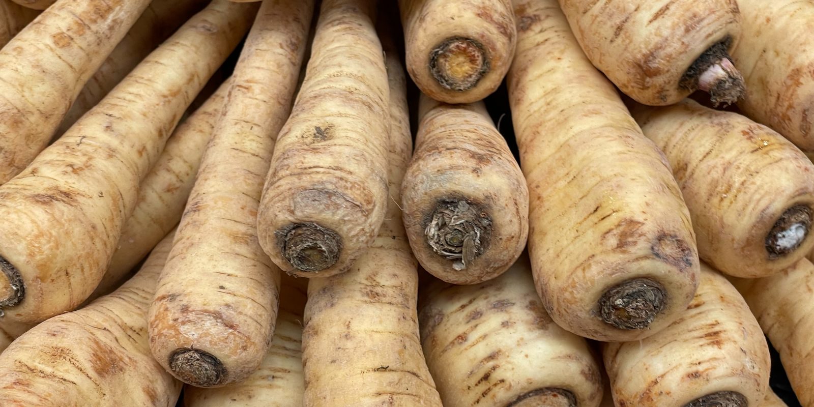 parsnip