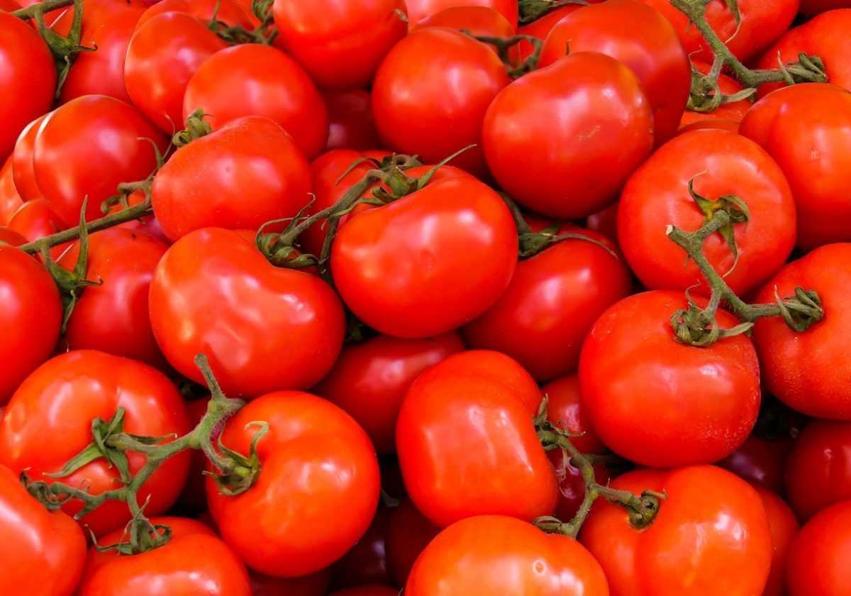 How to Grow Tomato at Home