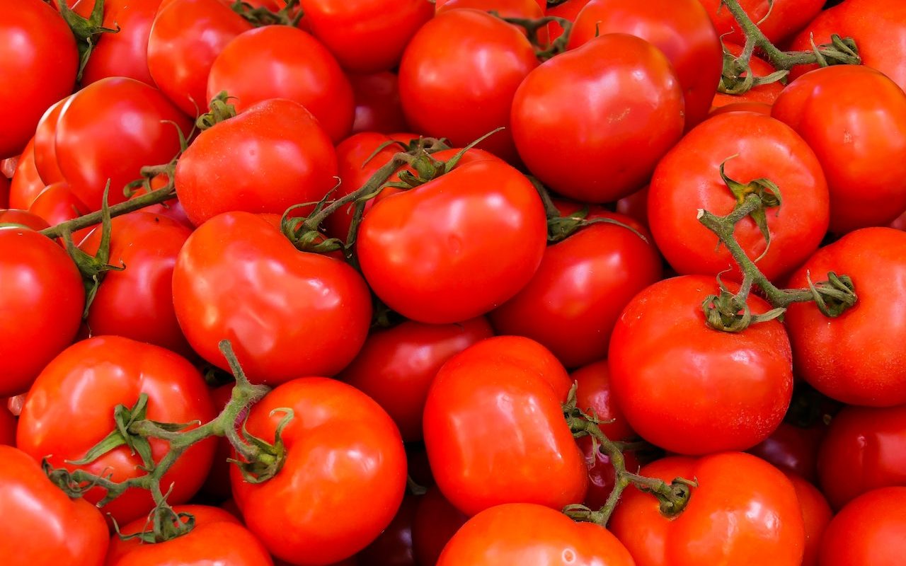 How to Grow Tomato at Home