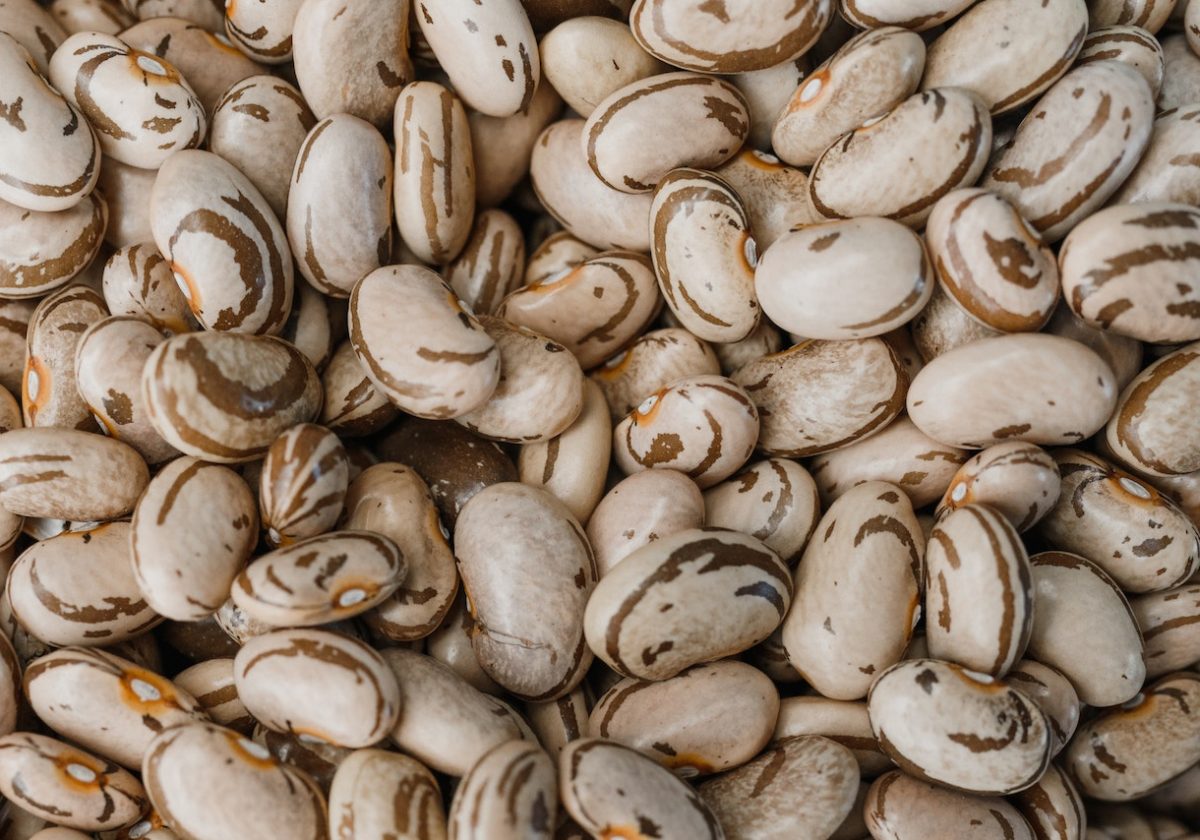 Guide to Pinto Beans: The Humble yet Healthy Bean