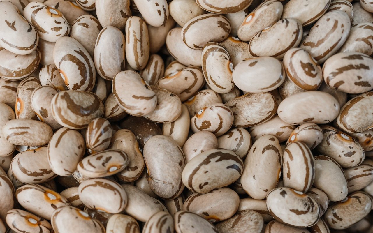 Guide to Pinto Beans: The Humble yet Healthy Bean