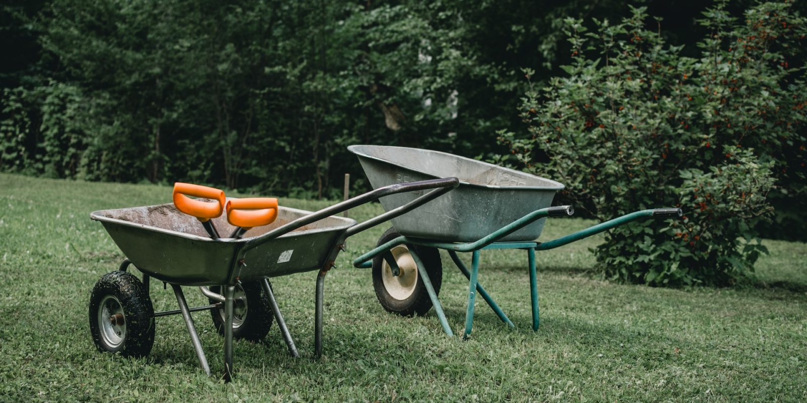 Choosing the Right Garden Cart