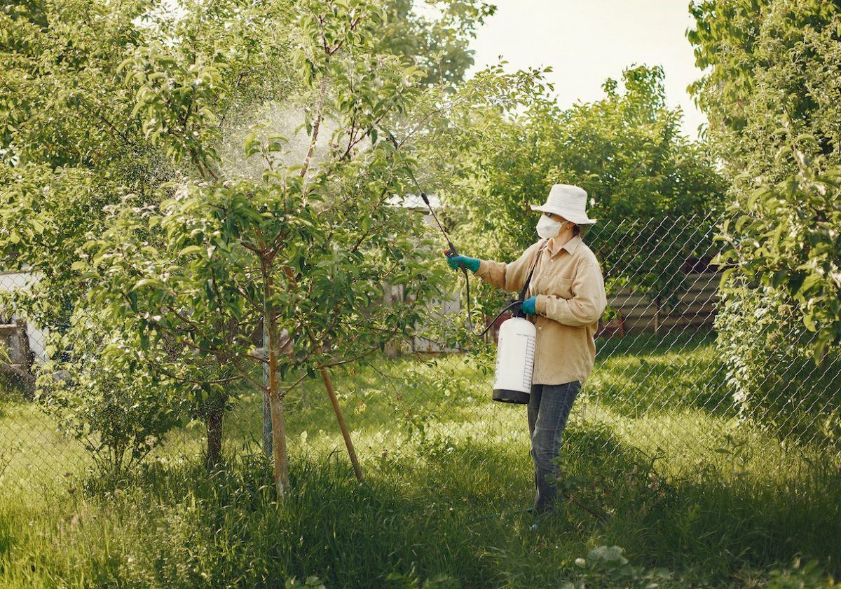 Essential Guide to Garden Sprayers