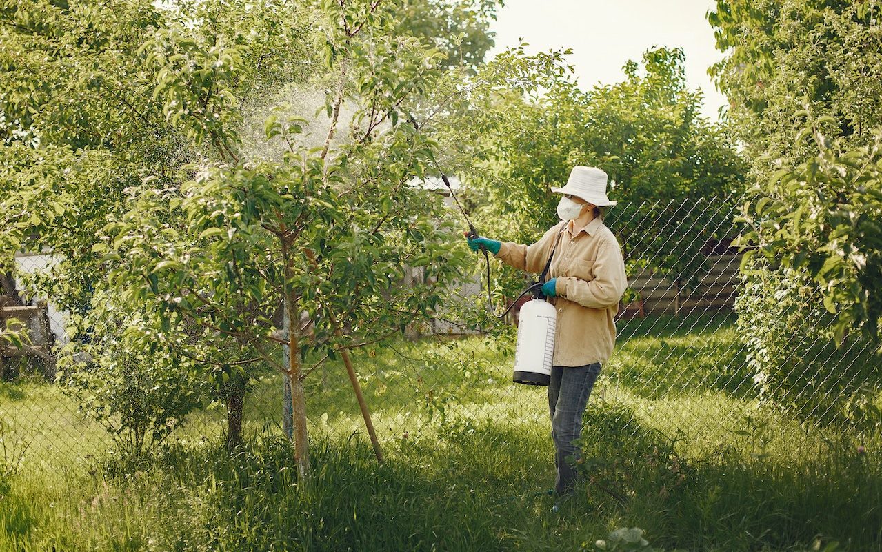 Essential Guide to Garden Sprayers