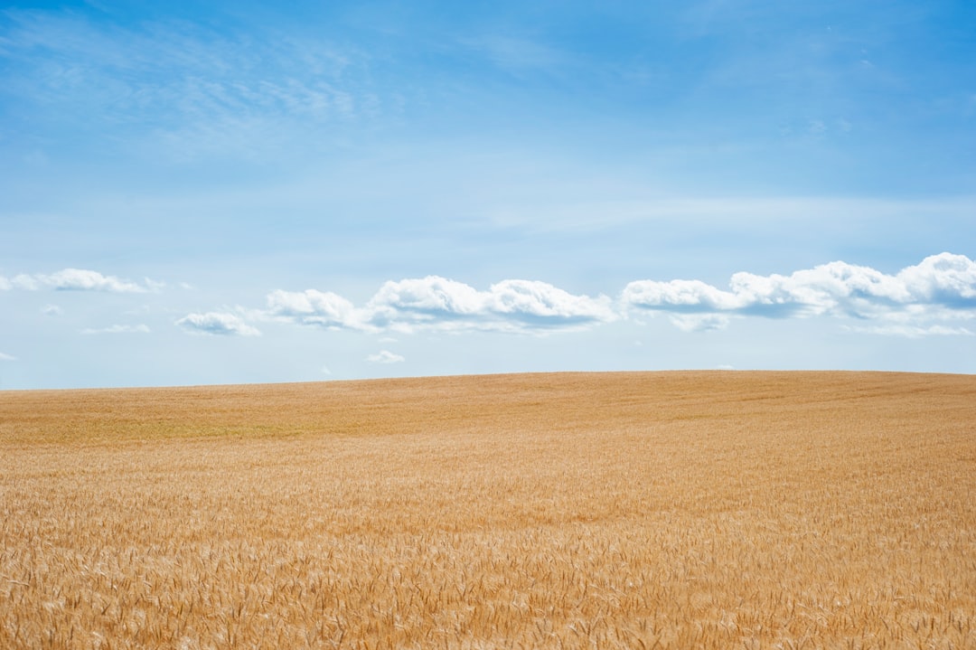 Photo Grassland landscape