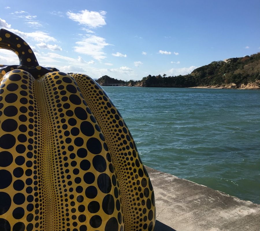 Photo "best beach bag australia"
