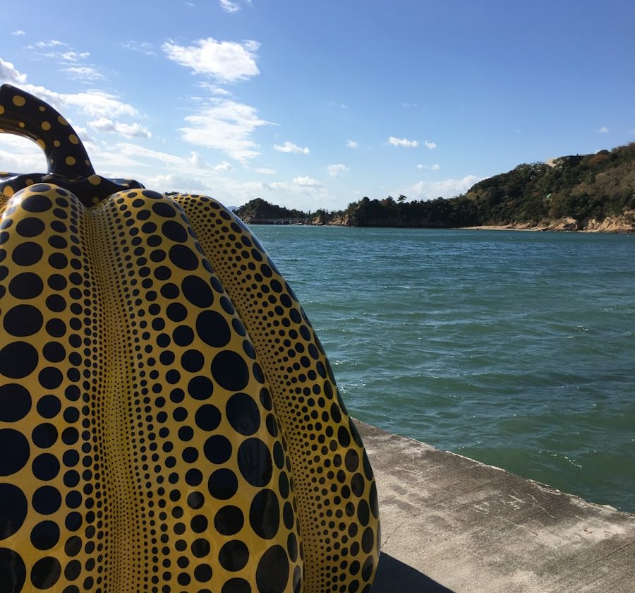 Photo "best beach bag australia"