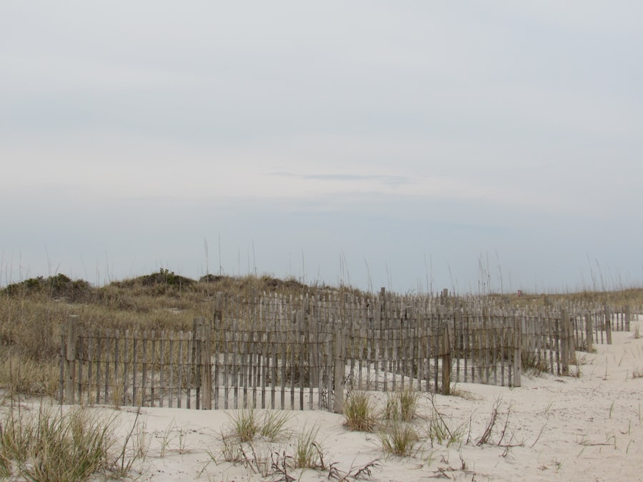 Beach scene